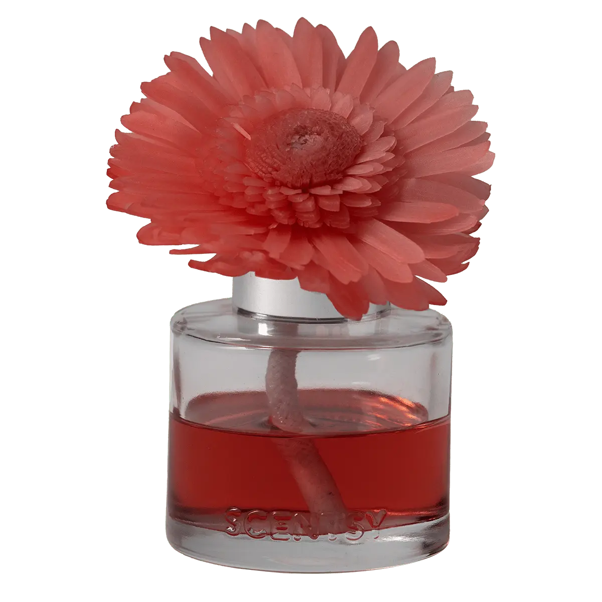 Discounted Scentsy Fragrance Flowers: Handcrafted Blooms Up to 40% Off 2026 Cider and Crimson Berries Dainty Daisy Scentsy Fragrance Flower sale UK 2026 reduced from 24 to 16.80