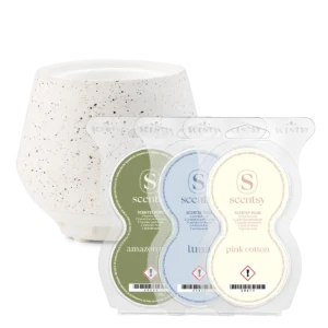 On and Off Campus Life Scentsy Air Bundle