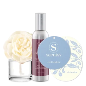 On and Off Campus Life Scentsy Unplugged Bundle