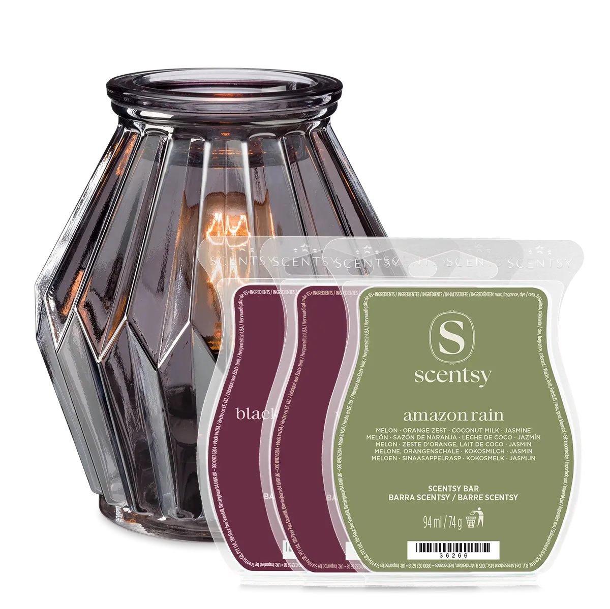 On and Off Campus Life Scentsy Warmer Bundle 2026 On and Off Campus Life Scentsy Warmer Bundle