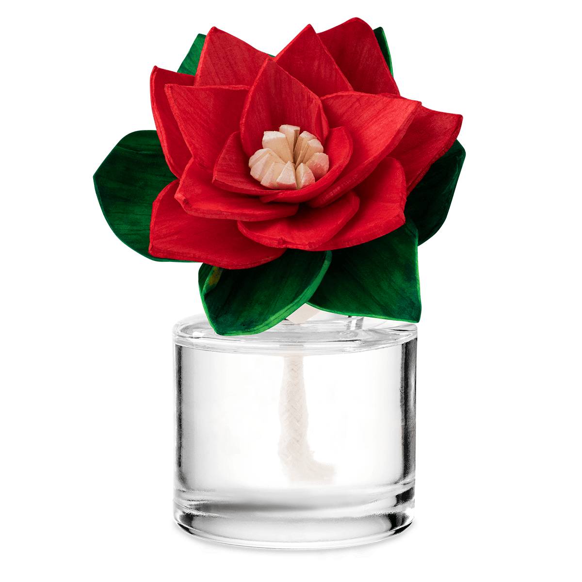 Discounted Scentsy Fragrance Flowers: Handcrafted Blooms Up to 40% Off 2026 Candy Cane Buttercream Radiant Red Poinsettia Scentsy Fragrance Flower sale UK 2026 reduced from 22 to 17.60