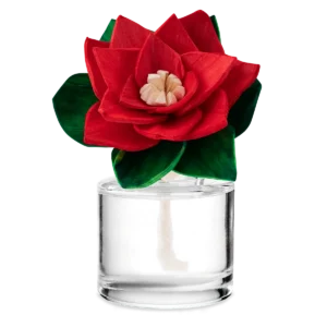 poinsettia-holiday-market-fragrance-flower