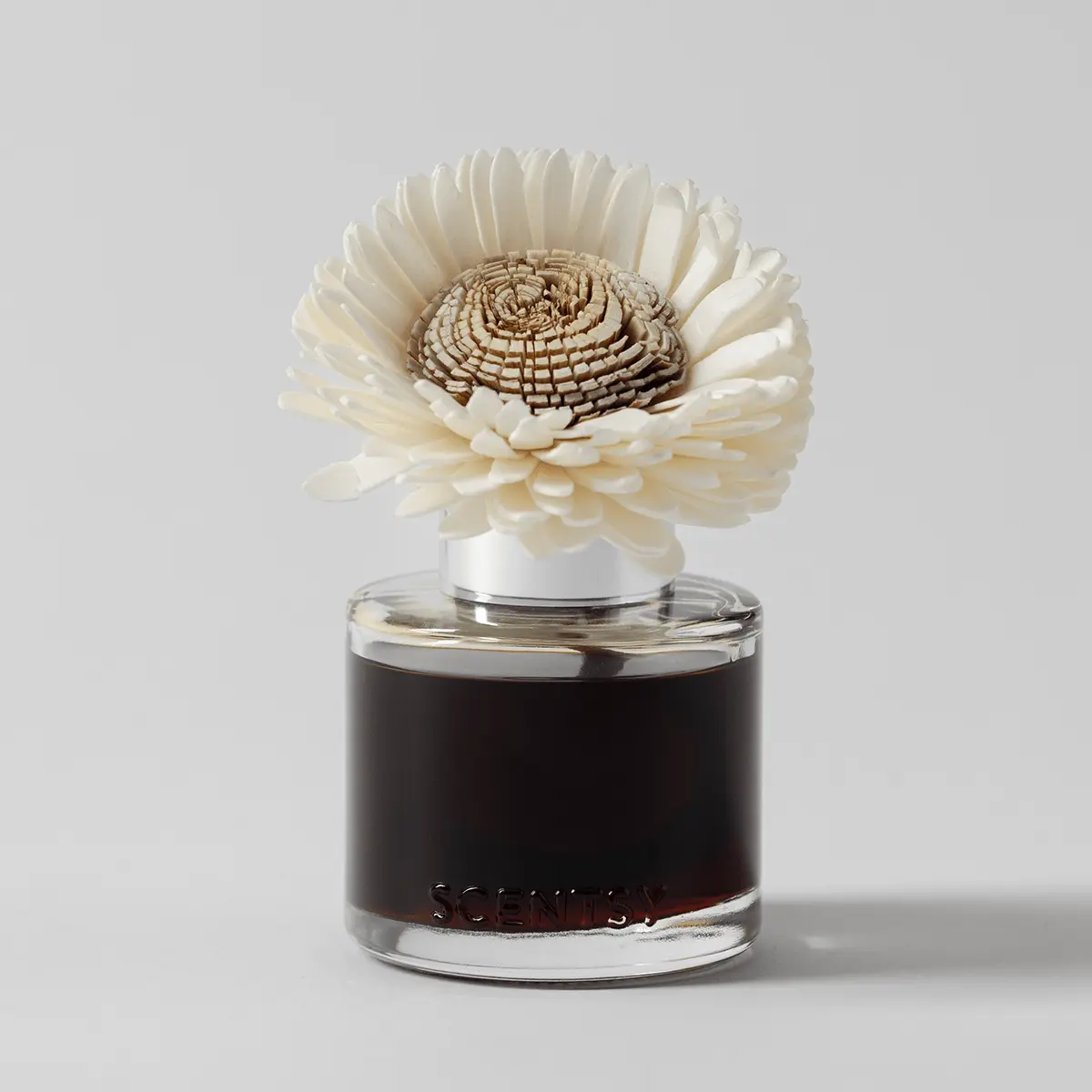 Pumpkin Oak Stunning Sunflower Scentsy Fragrance Flower 2026 Pumpkin Oak Stunning Sunflower Scentsy Fragrance Flower