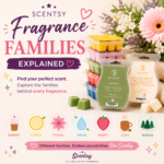 Fragrance Families Explained: How to Choose the Right Wax Melt Scent 2026 scentsy fragrance collections explained