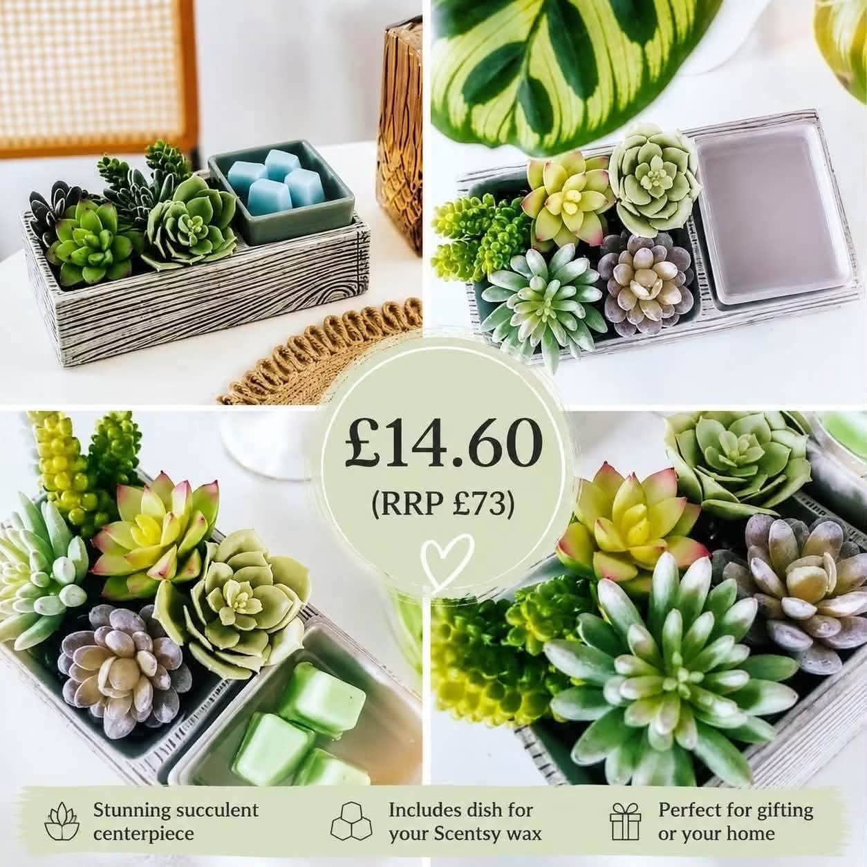 8 Cheapest Scentsy Warmers on Sale UK: Real Bargains From £8.40 2026 Suc-cute-lent Scentsy Warmer sale UK 2026 succulent centrepiece wax warmer reduced from 73 to 14.60