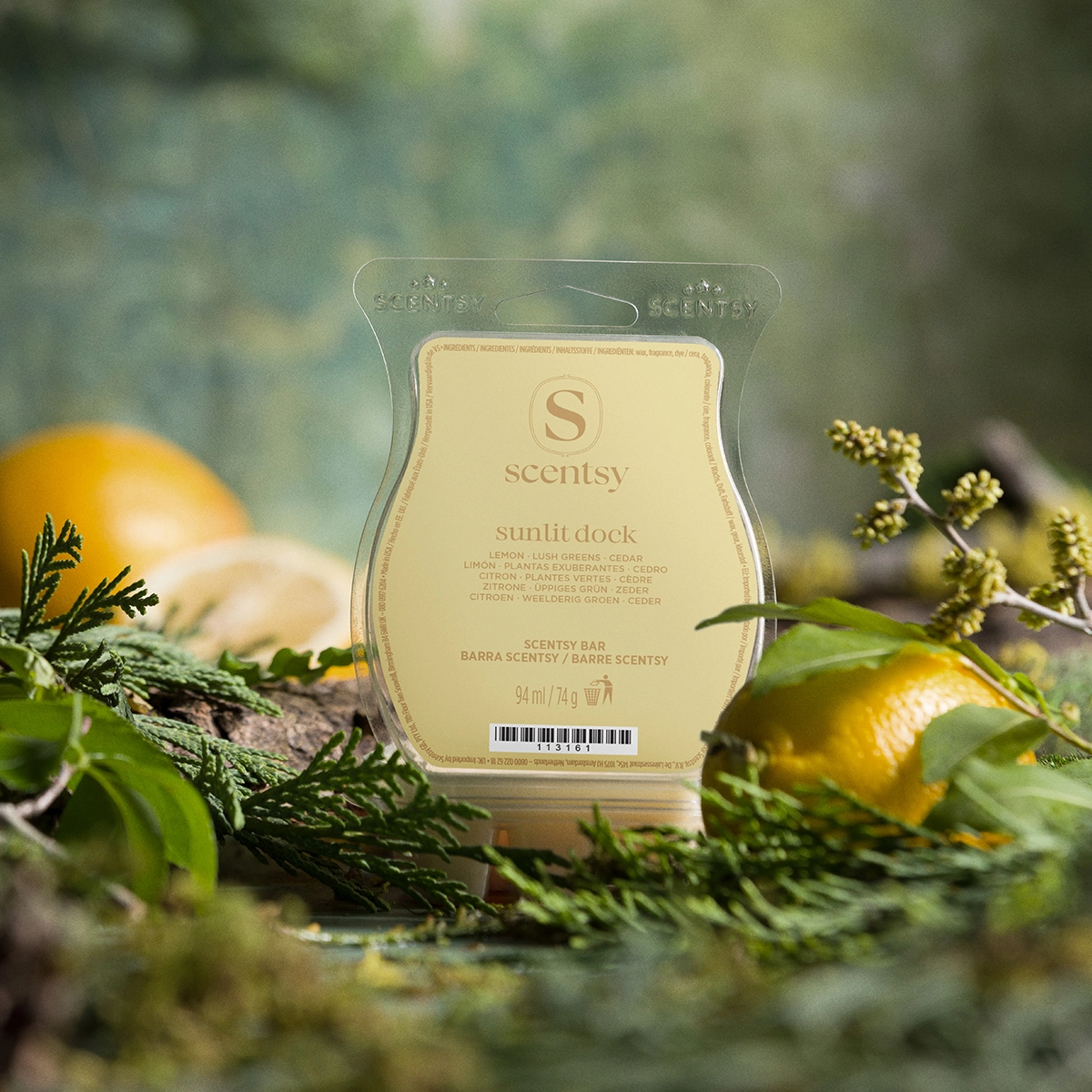 Sunlit Dock Scentsy Wax Melts 2026 Sunlit Dock Scentsy Wax Melts