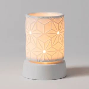 Batman Scentsy Mini Warmer with Wall Plug