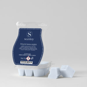 September 2026 Scentsy Whiff Box – 7 Bars and the Our House Mini Warmer for £47 2026 Black Luna Night Scentsy Wax Melts