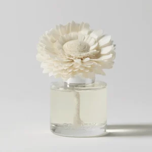 Blackberry Dahlia Dainty Daisy Scentsy Fragrance Flower