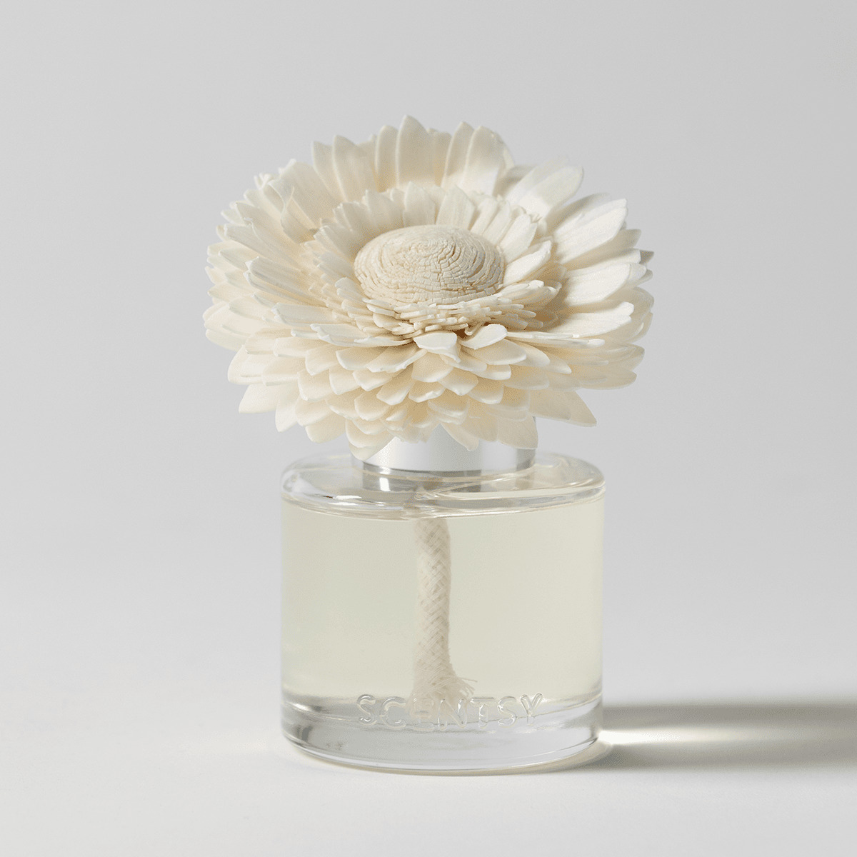 Christmas Cottage Dainty Daisy Scentsy Fragrance Flower 2026 Christmas Cottage Dainty Daisy Scentsy Fragrance Flower