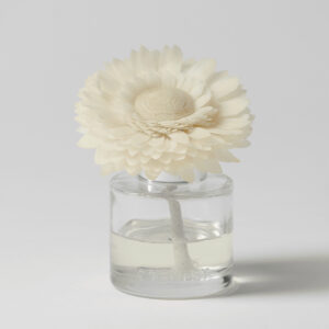 Christmas Cottage Dainty Daisy Scentsy Fragrance Flower