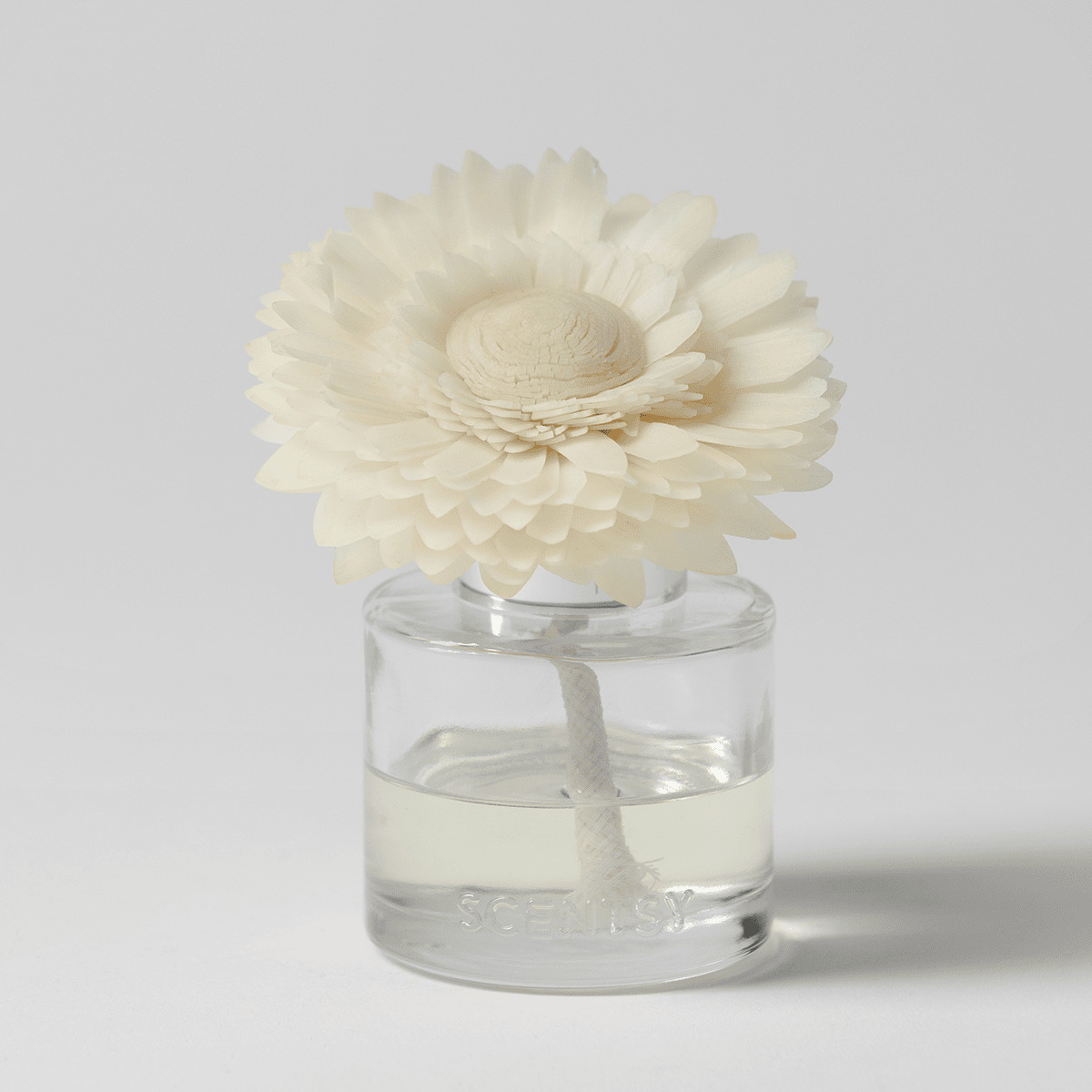Christmas Cottage Dainty Daisy Scentsy Fragrance Flower 2026 Christmas Cottage Dainty Daisy Scentsy Fragrance Flower