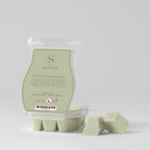 Frosted Eucalyptus Scentsy Wax Melts