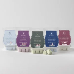 Halloween Scentsy Wax Melts 5-Pack