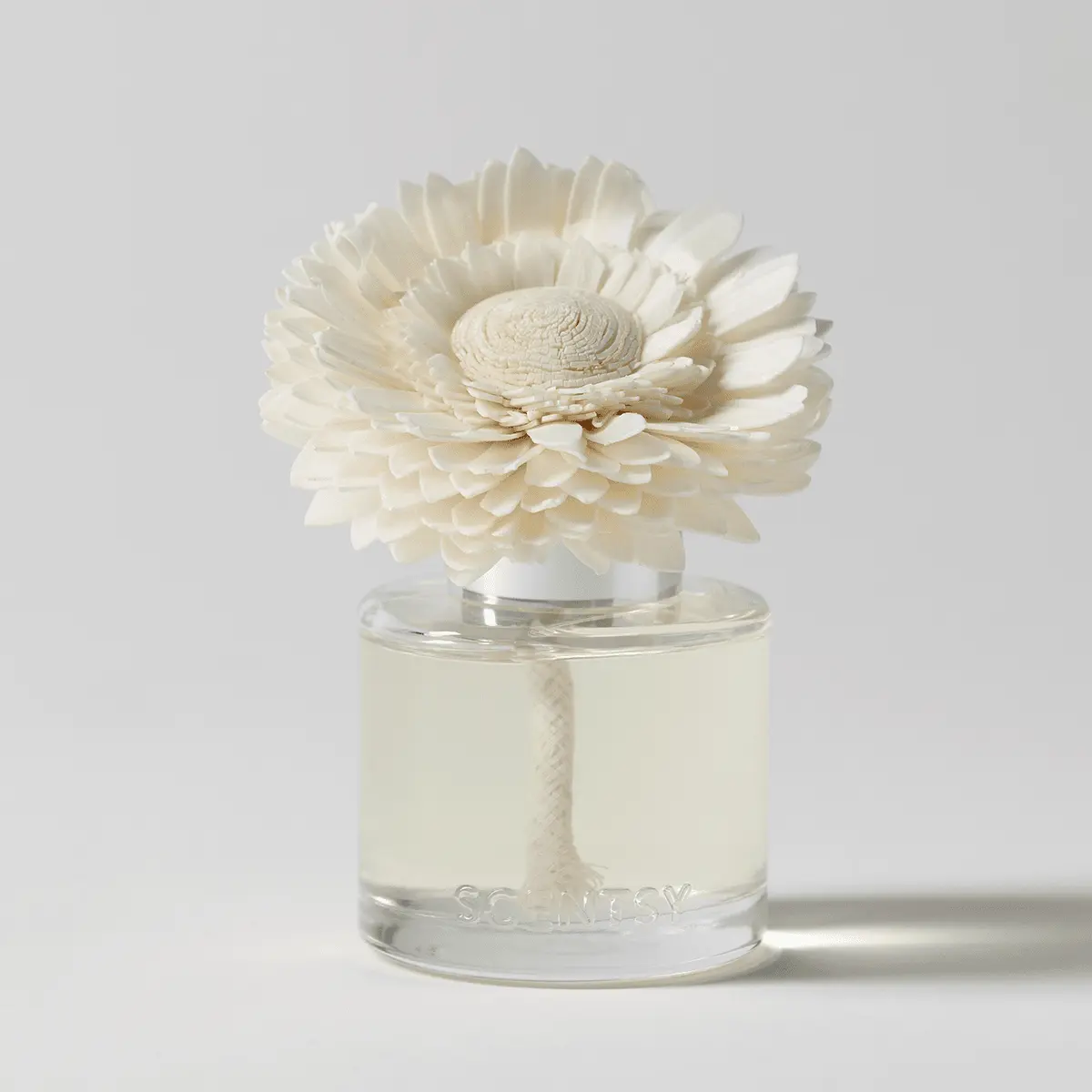 Jingle Bell Blooms Dainty Daisy Scentsy Fragrance Flower 2026 Jingle Bell Blooms Dainty Daisy Scentsy Fragrance Flower