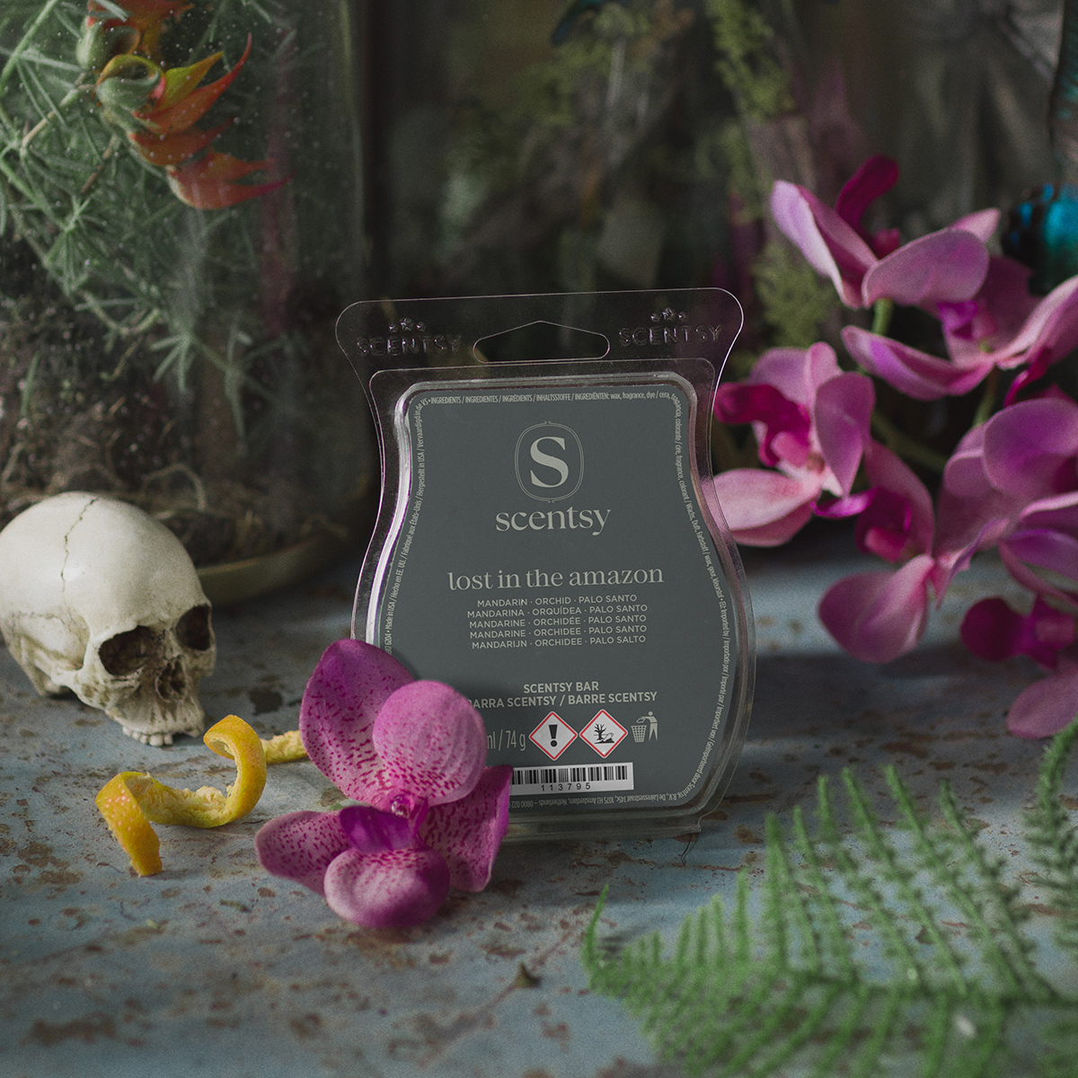 Lost In The Amazon Scentsy Wax Melts 2026 Lost In The Amazon Scentsy Wax Melts