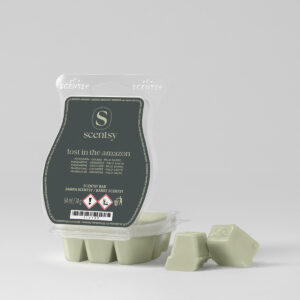 September 2026 Scentsy Whiff Box – 7 Bars and the Our House Mini Warmer for £47 2026 Lost In The Amazon Scentsy Wax Melts
