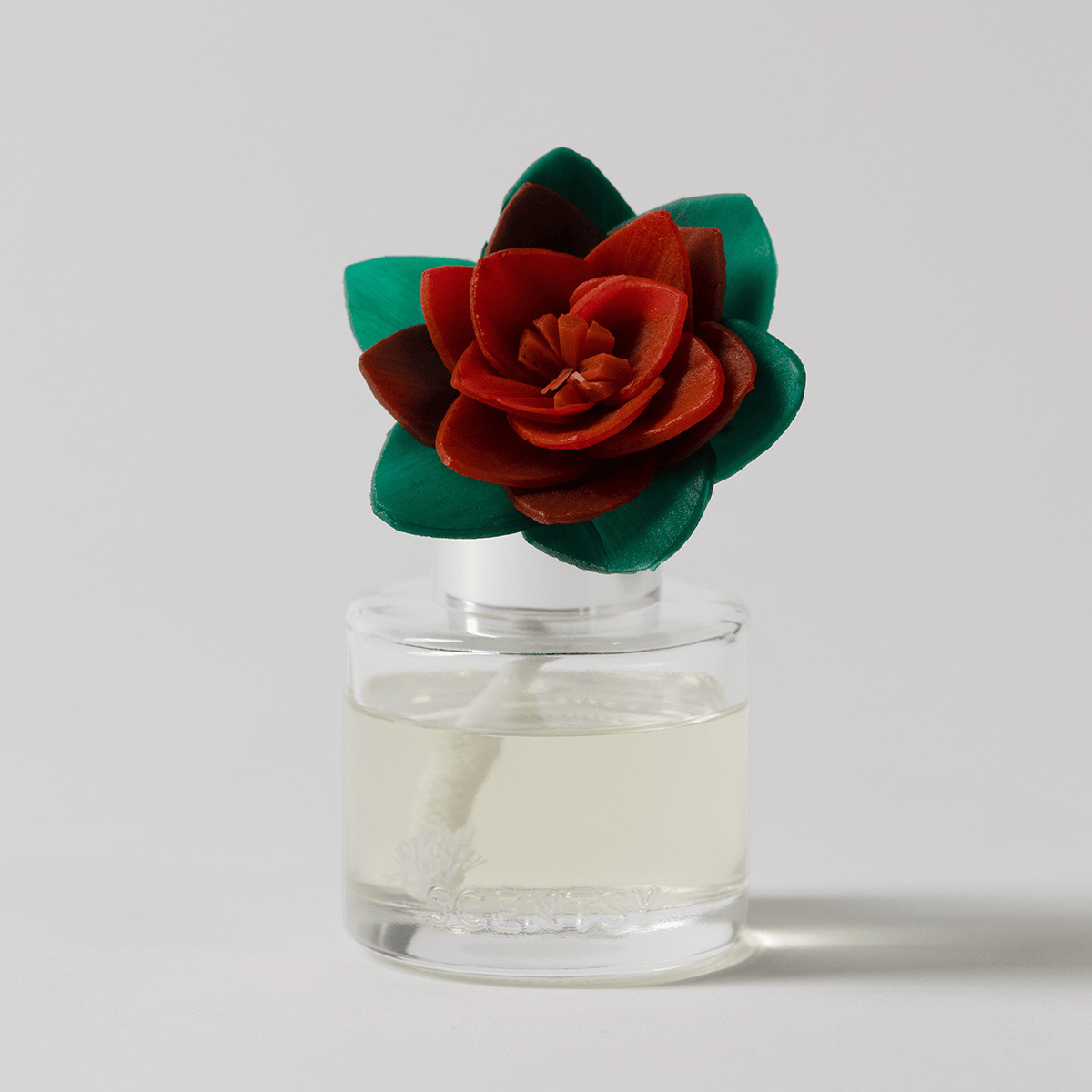 Mistletoe Mint Radiant Red Poinsettia Scentsy Fragrance Flower 2026 Mistletoe Mint Radiant Red Poinsettia Scentsy Fragrance Flower