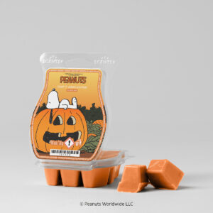 Peanuts Snoopy's Autumn Adventure Scentsy Wax Melts