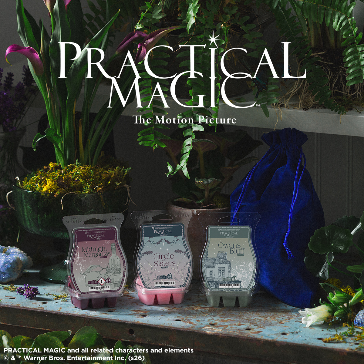Practical Magic Scentsy Wax Collection – Three Bewitching Fragrances for £28, Available Now 2026 Practical Magic Scentsy Wax Collection – Three Bewitching Fragrances for £28, Available Now