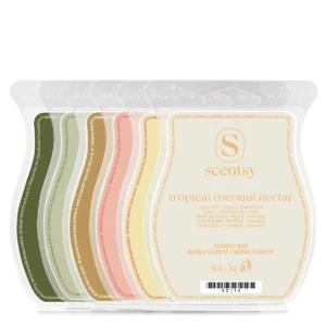 Summer Forever Scentsy Bundle