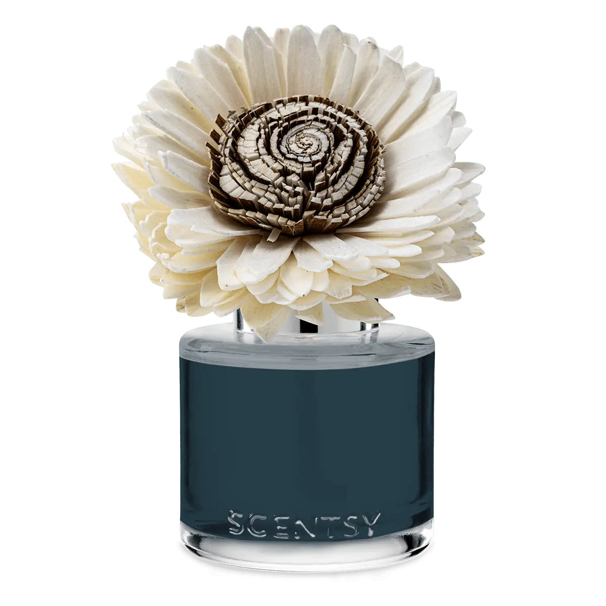 Apple Harvest Dreams Stunning Sunflower Scentsy Fragrance Flower 2026 Apple Harvest Dreams Stunning Sunflower Scentsy Fragrance Flower