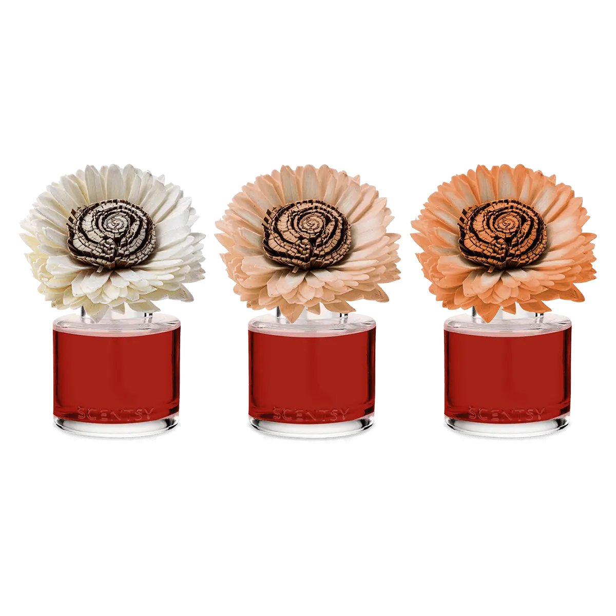 Apple Spice Season Stunning Sunflower Scentsy Fragrance Flower 2026 Apple Spice Season Stunning Sunflower Scentsy Fragrance Flower