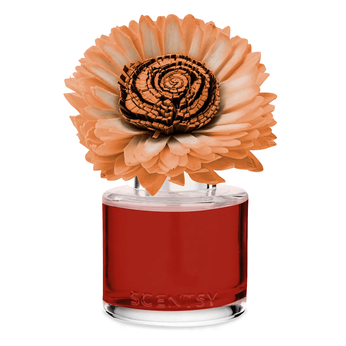 Apple Spice Season Stunning Sunflower Scentsy Fragrance Flower 2026 Apple Spice Season Stunning Sunflower Scentsy Fragrance Flower