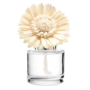 Autumn Road Trip Dainty Daisy Scentsy Fragrance Flower