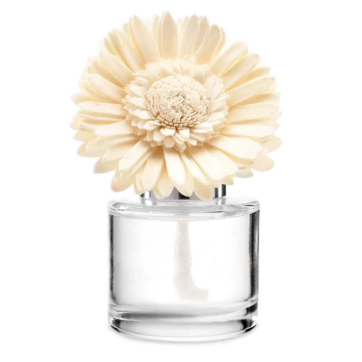 Autumn Road Trip Dainty Daisy Scentsy Fragrance Flower 2026 Autumn Road Trip Dainty Daisy Scentsy Fragrance Flower