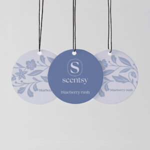 Blueberry Rush Scentsy Car Circle 3-Pack