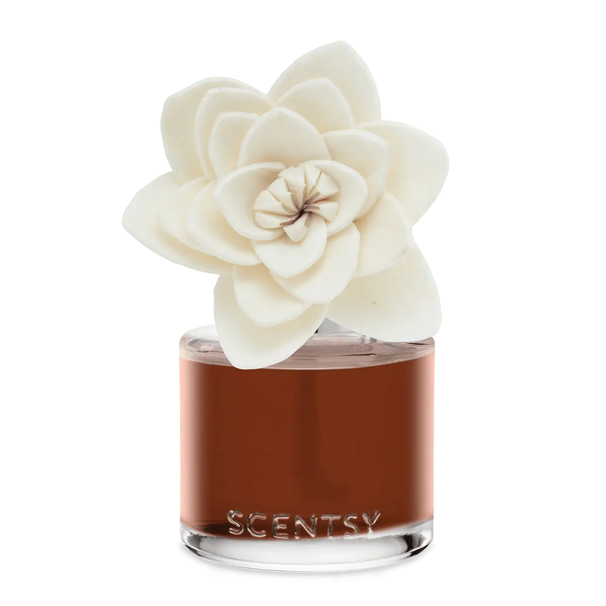 Caramel Macadamia Nut Natural Poinsettia Scentsy Fragrance Flower 2026 Caramel Macadamia Nut Natural Poinsettia Scentsy Fragrance Flower