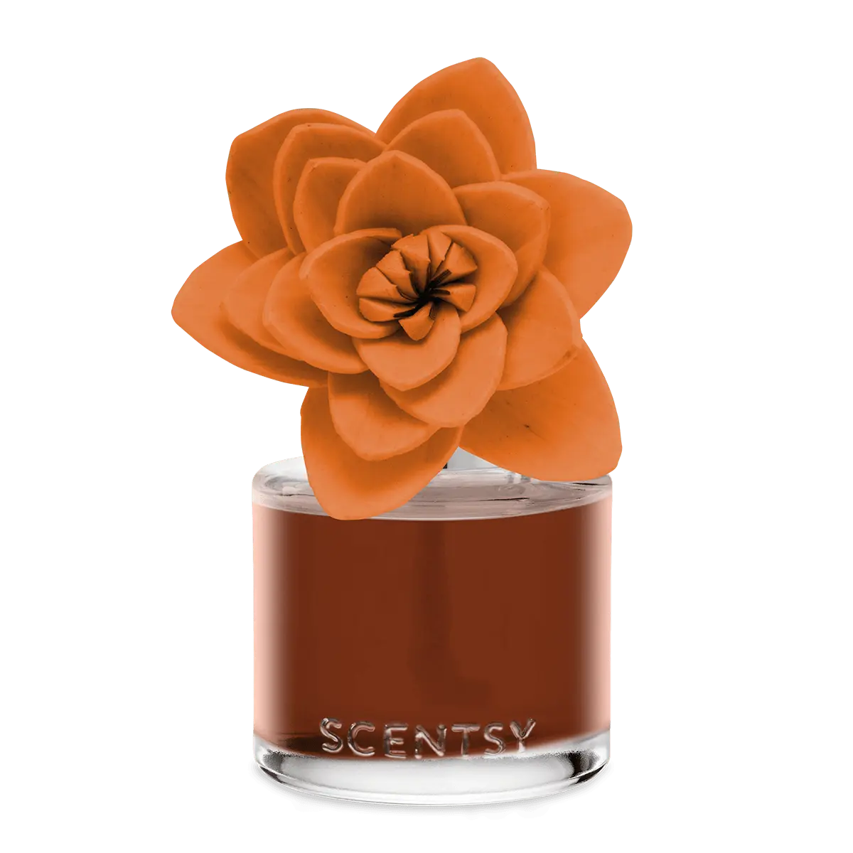 Caramel Macadamia Nut Natural Poinsettia Scentsy Fragrance Flower 2026 Caramel Macadamia Nut Natural Poinsettia Scentsy Fragrance Flower