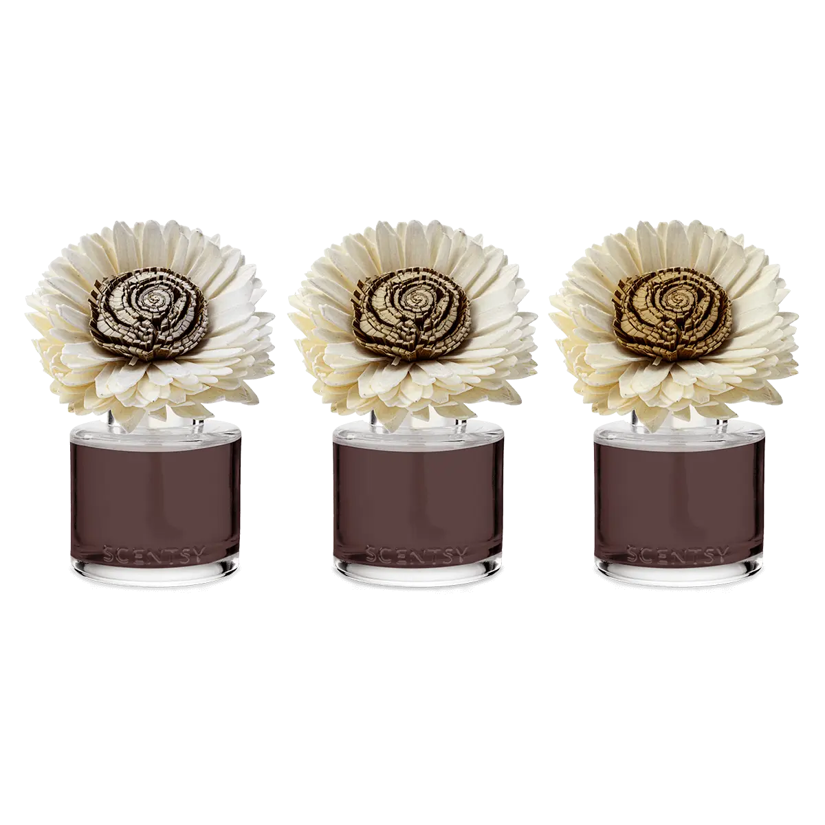 Cinnamon Woods Stunning Sunflower Scentsy Fragrance Flower 2026 Cinnamon Woods Stunning Sunflower Scentsy Fragrance Flower