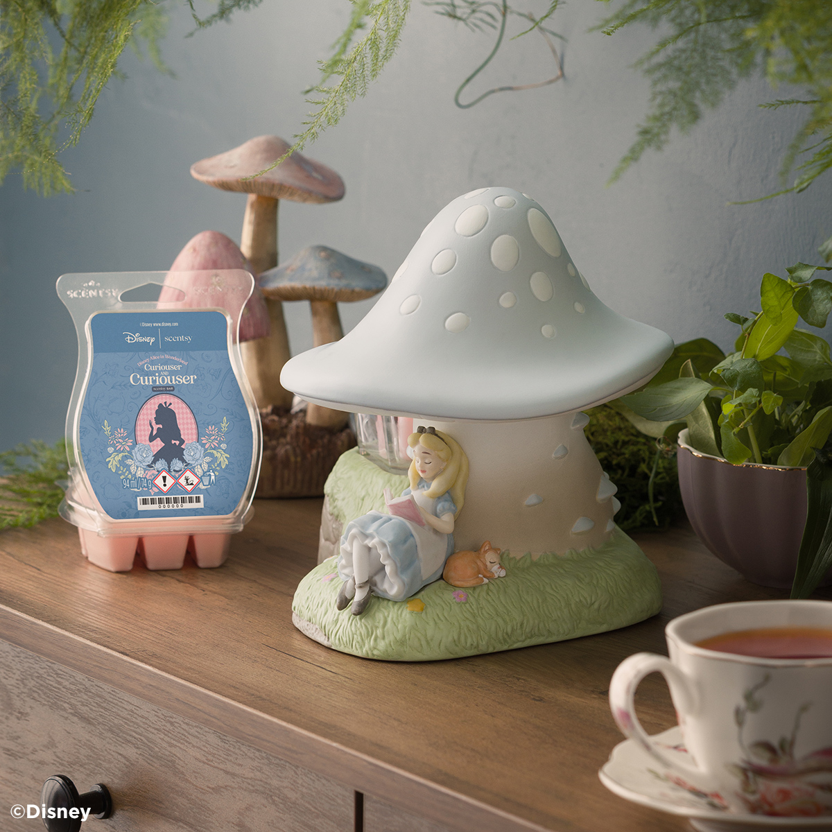 Alice in Wonderland Scentsy Collection 2026: Launch Date, Prices and Fragrance 2026 Alice in Wonderland Scentsy Collection 2026: Launch Date, Prices and Fragrance