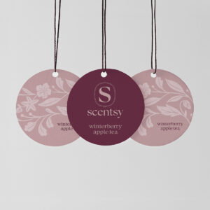 Winterberry Apple Tea Scentsy Car Circle 3-pack